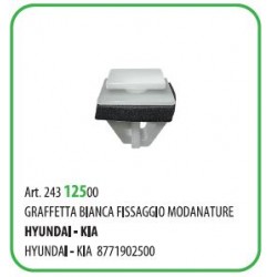 50 PZ - GRAFFETTA FISSAGGIO MODANATURE HYUNDAI 8771902500  (55147T)
